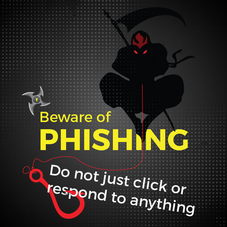 Cyber Ninjas on the Lookout